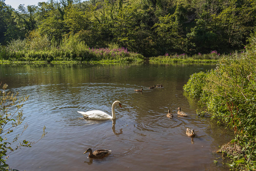 River Wye